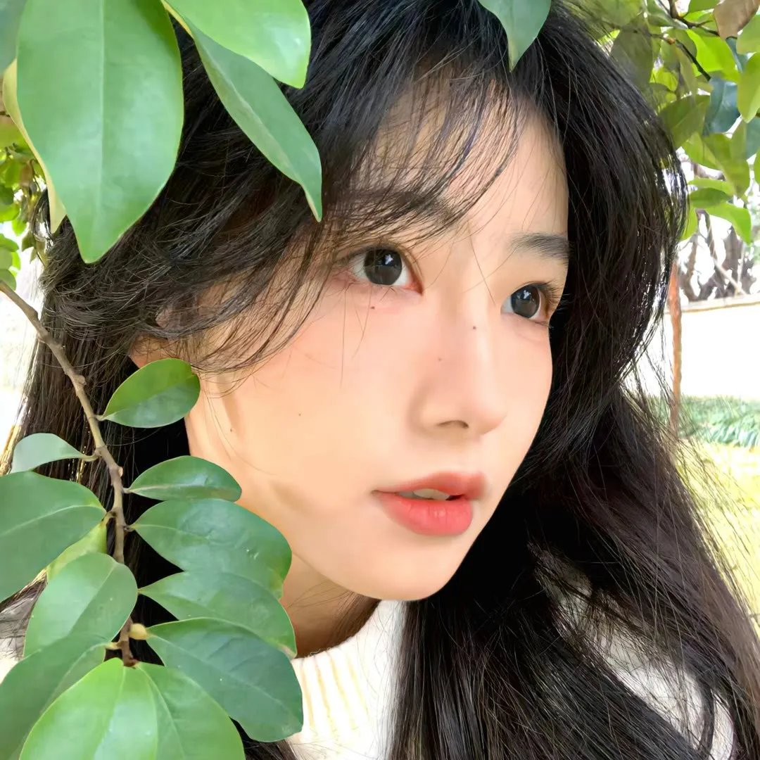 泰山传奇
